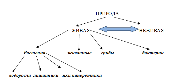 Составьте схему окружающий мир